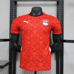 Egypt 24-25 home authentic jersey